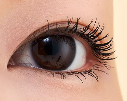 Adelica Volume Mascara, photo 4