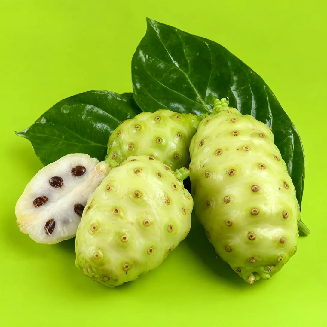 Organic Fermented Noni Concentrate, organic noni from Java Island, photo 4