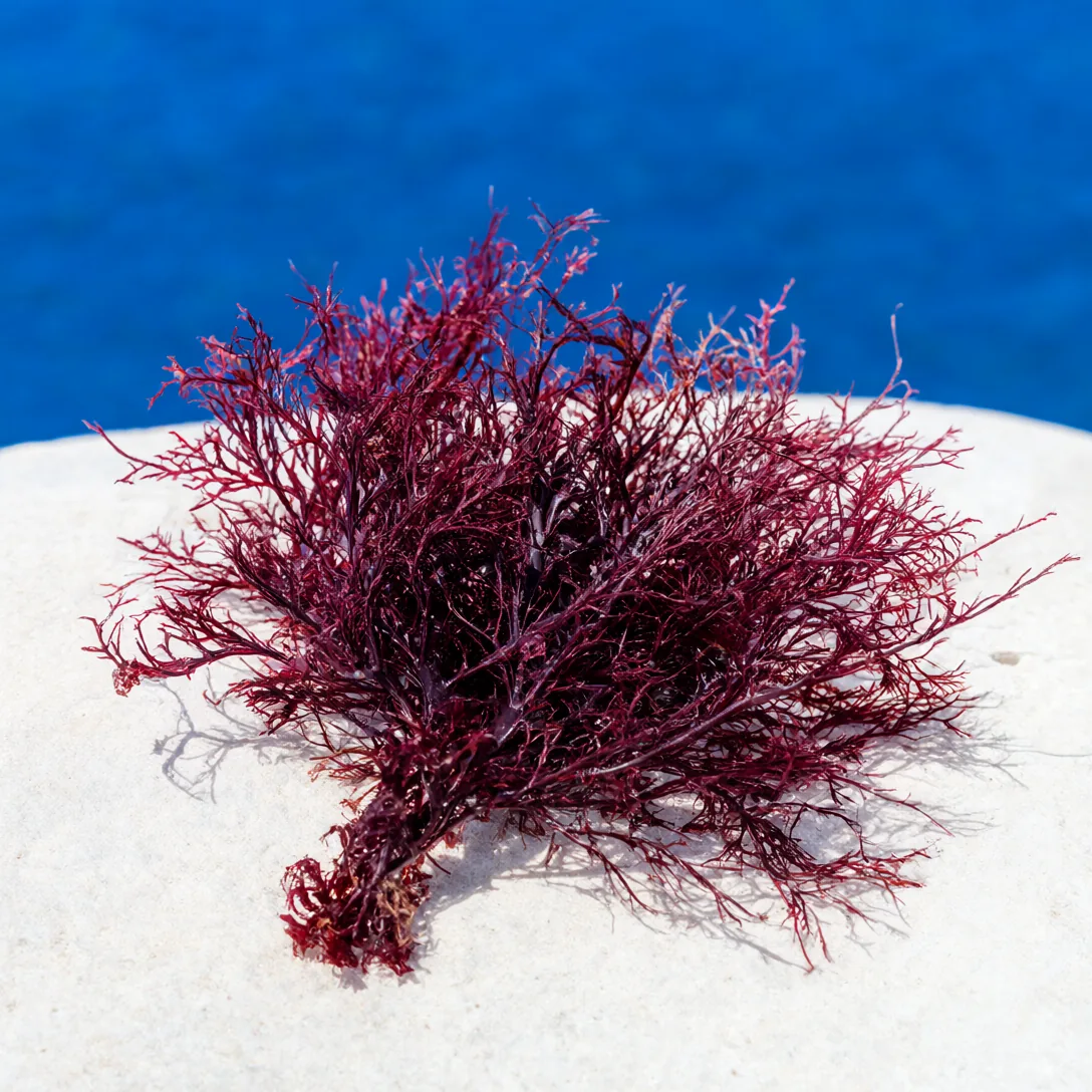 Hydrogel under-eye patches bursting with marine energy, photo 6