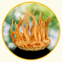 Vitamin D3, фото 11