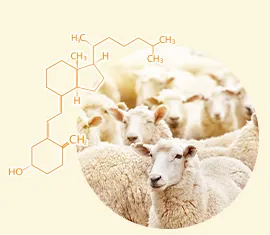Vitamin D3, фото 4