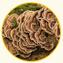 Vitamin D3, фото 8